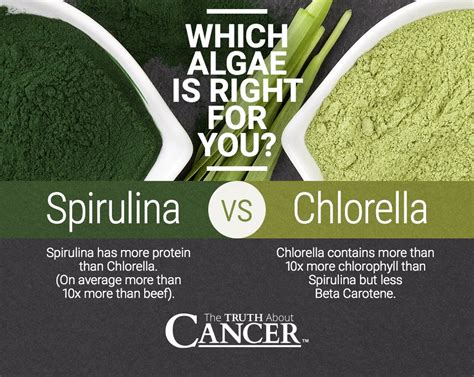 spirulina and omega 3|is spirulina better than chlorella.